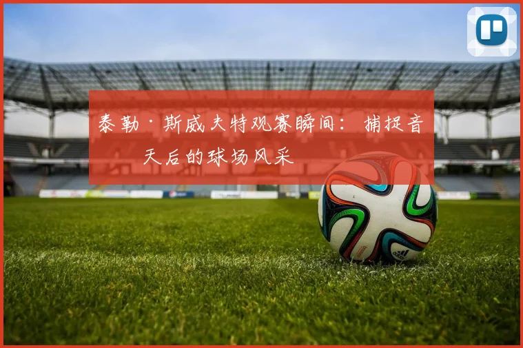 泰勒·斯威夫特观赛瞬间：捕捉音乐天后的球场风采